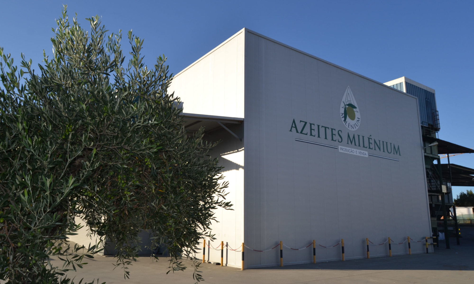 Azeites Milénium, Lda.